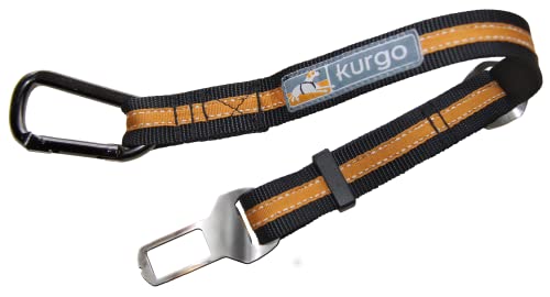 Kurgo - Cinturón de Seguridad para Perros, Cinturón de Seguridad Ajustable con Hebilla para Coche, Correa de Perro estilo Clip de Cinturón - Naranja