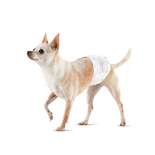 Amazon Basics Pañales desechables para perros macho, XS, paquete de 30, color blanco