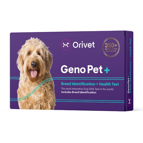 Orivet Prueba de ADN para Perros | Kit Completo de Prueba de Razas de Perros, Pruebas genéticas, detección de riesgos para la Salud y Plan de Vida GenoPet+ para caninos
