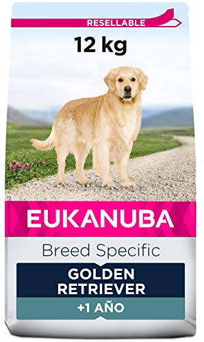 EUKANUBA Breed Specific Alimento seco para perros golden retriever adultos, alimento para perros óptimamente adaptado a la raza 12 kg