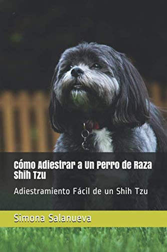 Cómo Adiestrar a Un Perro de Raza Shih Tzu: Adiestramiento Fácil de un Shih Tzu