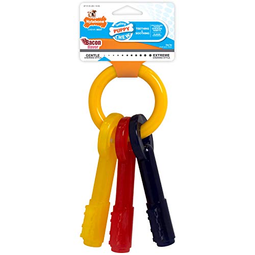 Nylabone - Teething Keys grande, juguete para dentición de cachorros