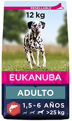 Eukanuba Alimento seco para Perros Adultos Grandes, Rico en Salmón y Cebada, 12 kg