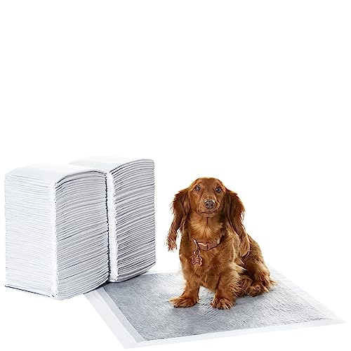 Amazon Basics Almohadillas de adiestramiento de perros y cachorros, carbón para control de olor, a prueba de fugas con superficie de secado rápido, regular, 120 unidades, Gris