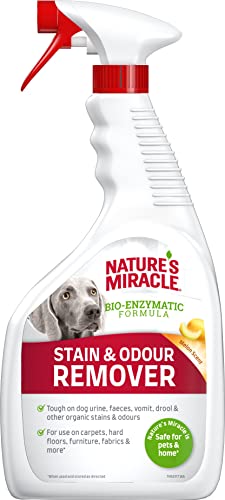 Nature's Miracle Stain & Odour Remover Perro, centra en la suciedad cotidiana, aroma a melón fresco, 946 ml
