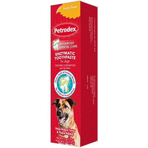 Petrodex Advanced Dental Enozymatic Toothpaste Poultry Flavor for Dogs 6.2 oz