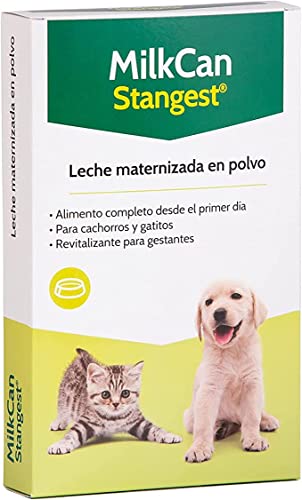 Stangest Leche Polvo MilkCan | Leche Maternizada para Gatos y Perros | Leche en Polvo | Complemento de Lactancia | Alta Digestibilidad y Fácil Asimilación | 250 g