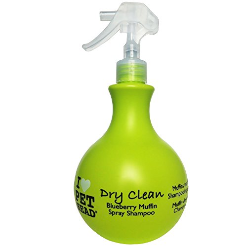 Company of Animals Pet Head Dry Clean Spray, Negro