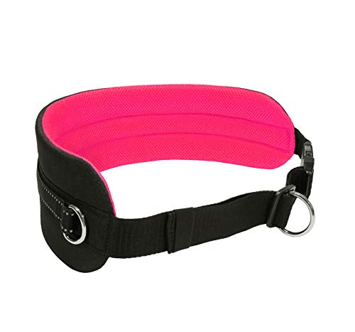 LASALINE Canicross - Cinturón abdominal para correa de perro, color negro y rosa neón