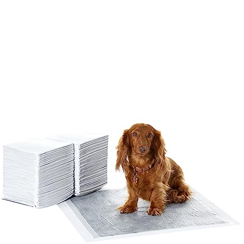 Amazon Basics Almohadillas de adiestramiento de perros y cachorros, carbón para control de olor, a prueba de fugas con superficie de secado rápido, Normal (80 unidades), Gris