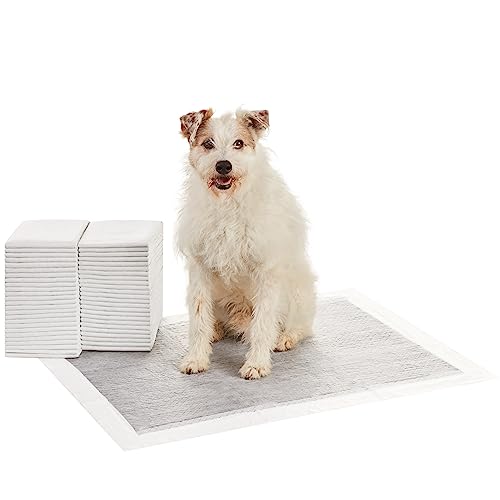 Amazon Basics Almohadillas de adiestramiento de perros y cachorros, carbón para control de olor, a prueba de fugas con superficie de secado rápido, XL, 50 unidades, Gris