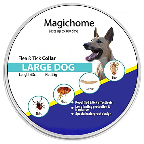 Magichome Collar Antiparasitario para Perros contra Pulgas, Garrapatas y Mosquitos