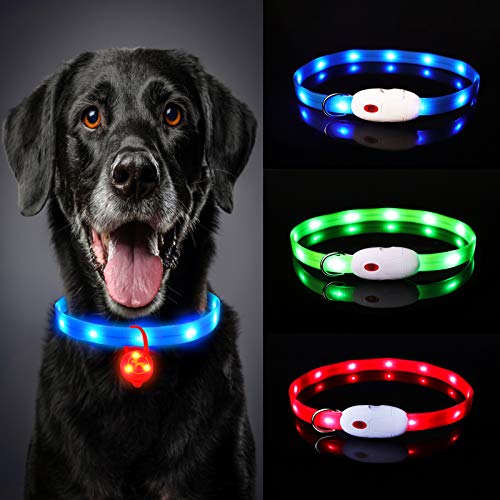 Collar Luminoso Perro, USB Recargable Collar Perro luz Seguro 3 Modos, Collar LED Impermeable Ajustable para Perro y Gato Menos 20kg - Azul