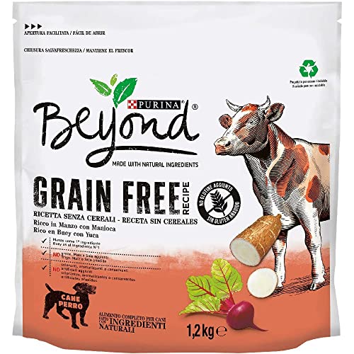 Purina Beyond Grain Free Pienso Natural para Perro Adulto sin Cereales con Buey, 6 bolsas de 1,2kg