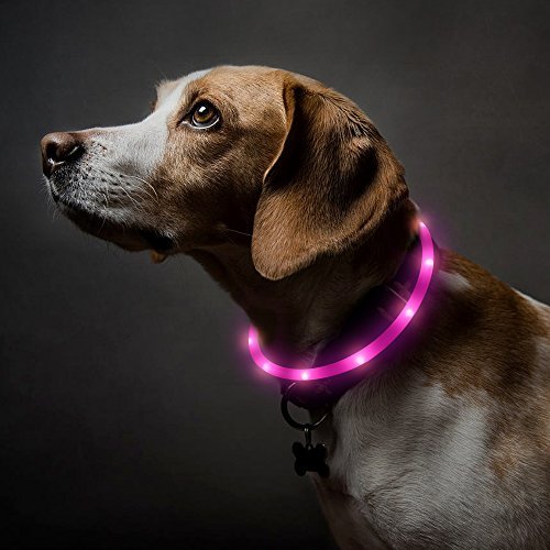 BSeen Collar de Perro LED, Recargable por USB, Collar de Seguridad para Mascotas con 3 Modos de Brillo, Collar de Perro de Silicona Flexible, Ideal para Perros pequeños, medianos y Grandes