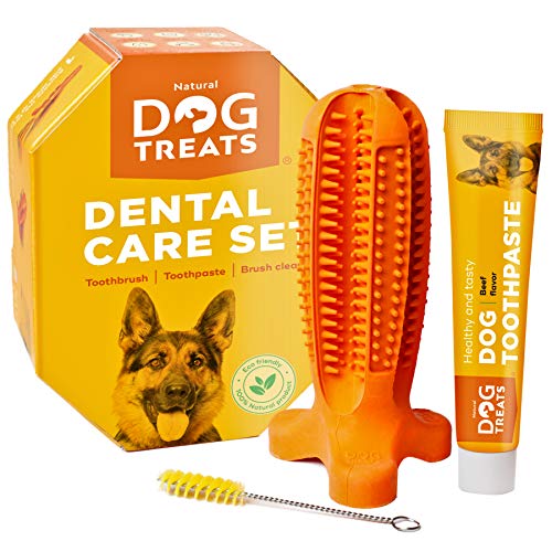 Natural Dog Treats Cepillo de Dientes y Dentífrico Set para Perros, 100% Natural Caucho Dog Brushing Stick, Juguete para Masticar, Tamaño Grande L