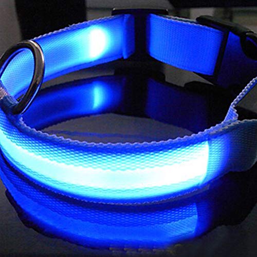 Hemore - Collar LED para perro con luz LED, seguridad para la noche, con hebilla ajustable, color azul, parpadeante