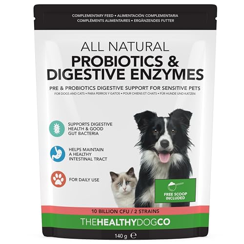 Probióticos, Prebióticos y Enzimas Digestivas para Perros | 100% Natural 140g | para Calmar el Estómago y Mejorar Digestión, Inmunidad, Deposiciones y Flatulencias | 10 Mil Millones de CFU